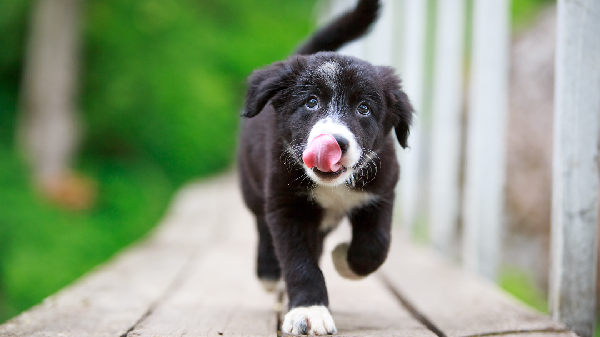 Finalmente arriva l'estate