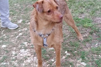 Alvin